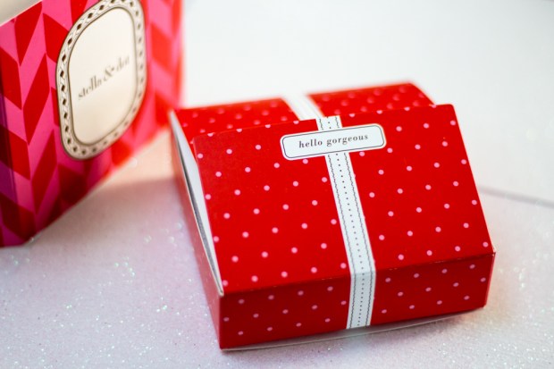 Stella&Dot packaging