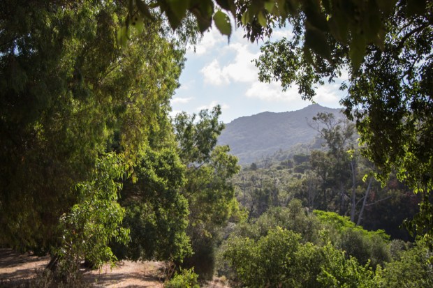 Route du penitencier coti chiavari