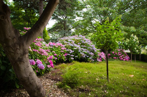 Jardins Christian Dior Granville