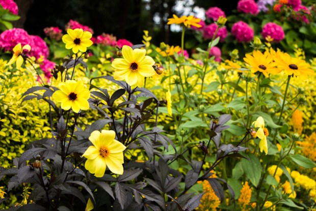 Jardins Christian Dior Granville