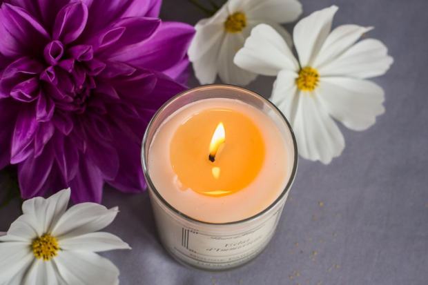 Eclat d'immortelle Fleur de Maquis