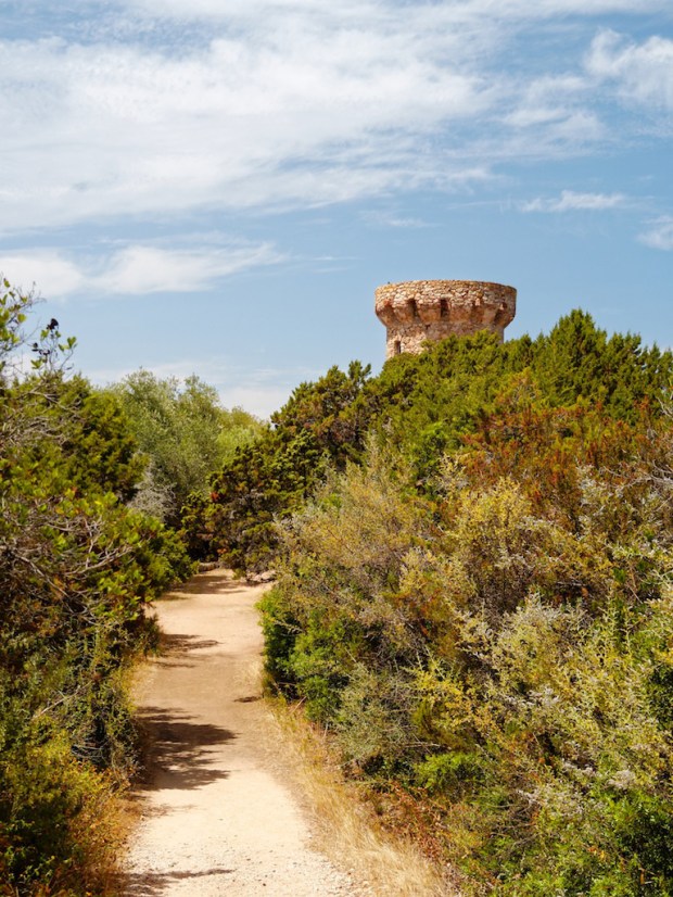 Source MathiasLPhotos Son Blog https://mathiaslphotos.wordpress.com/