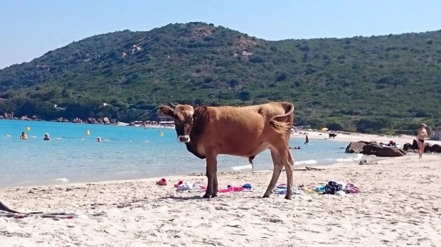 Mare e sole corse du sud