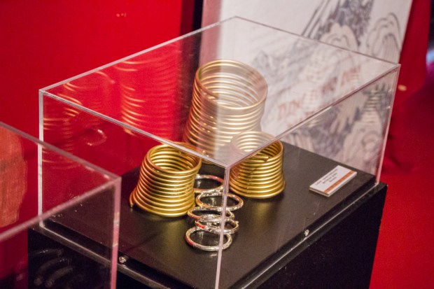 birmanie-foire-de-caen-femmes-girafe