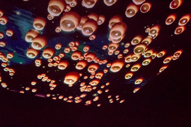 les-neufs-dragons-du-mekong-foire-de-caen