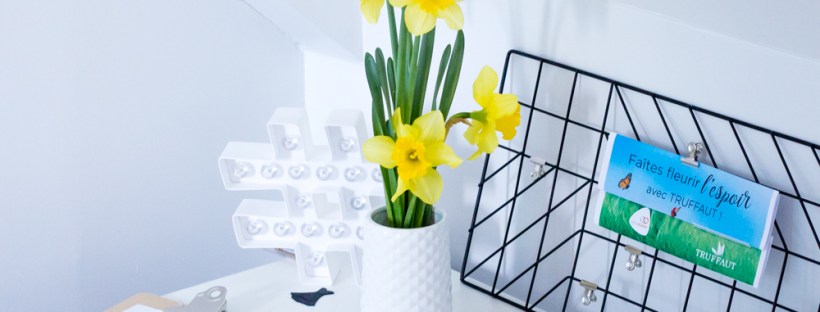 Une Jonquille Pour Curie Truffaut Curie