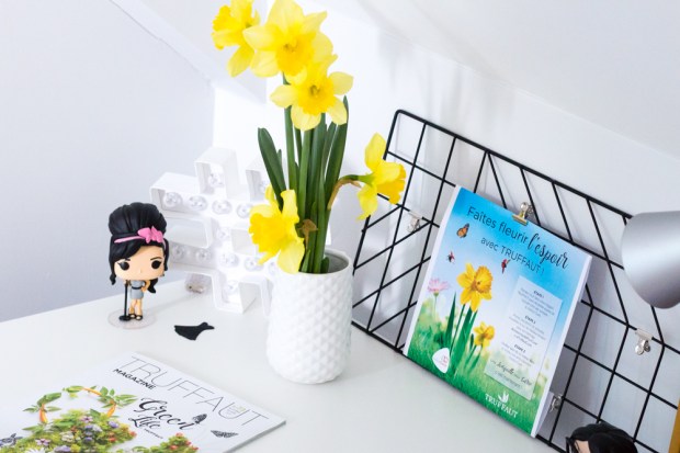 Une Jonquille Pour Curie Truffaut Institut Curie