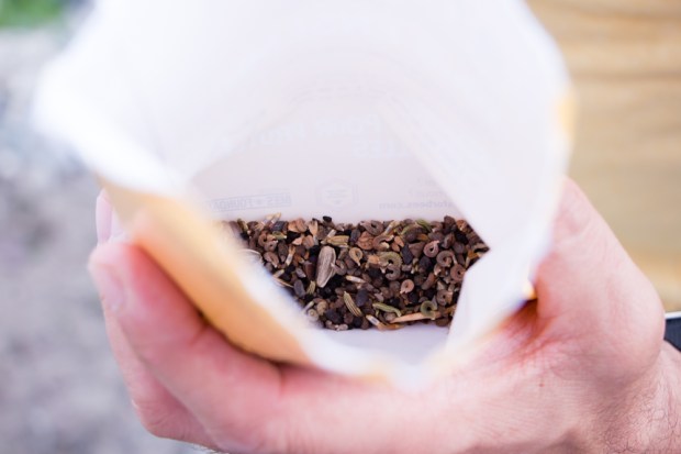 des-fleurs-pour-les-abeilles-truffaut-ofa-fleurs-melliferes