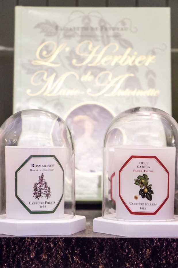 chateau-versailles-carriere-freres-cancles