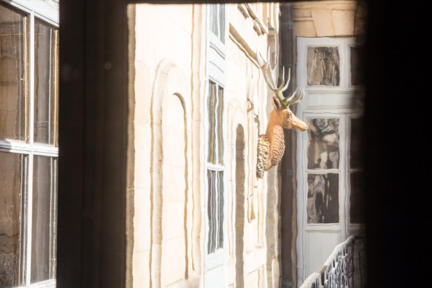 Chateau-Versailles-Details