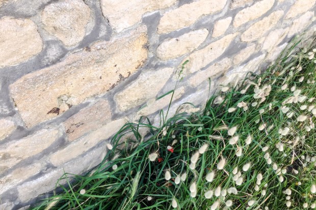 la-delicate-balade-sonore-immersive-normandie