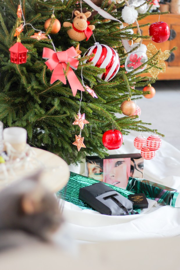 concours-mac-cosmetics-crackers-ruby-woo